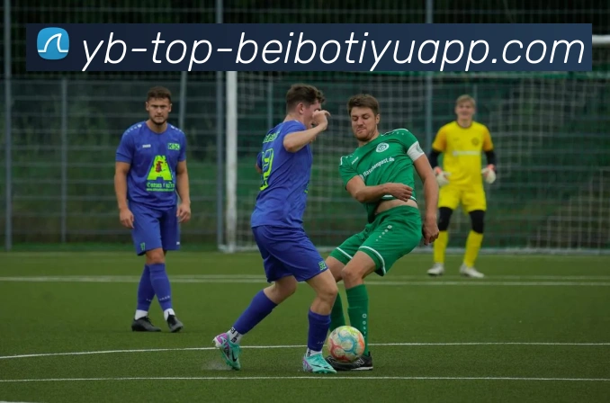 贝博体育APP 高清赛事图